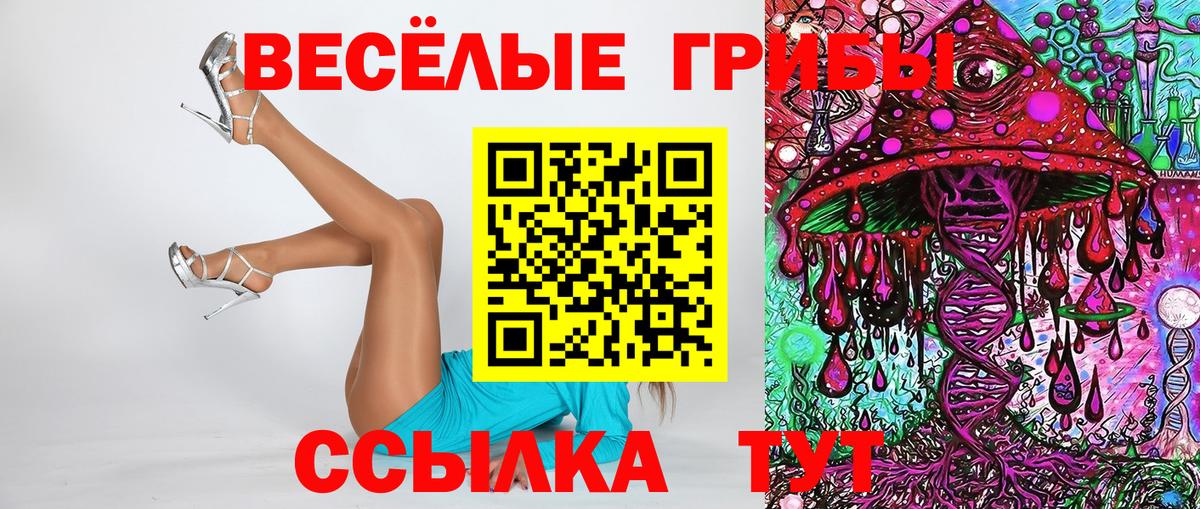 Галлюциногенные грибы Psilocybine cubensis Конаково