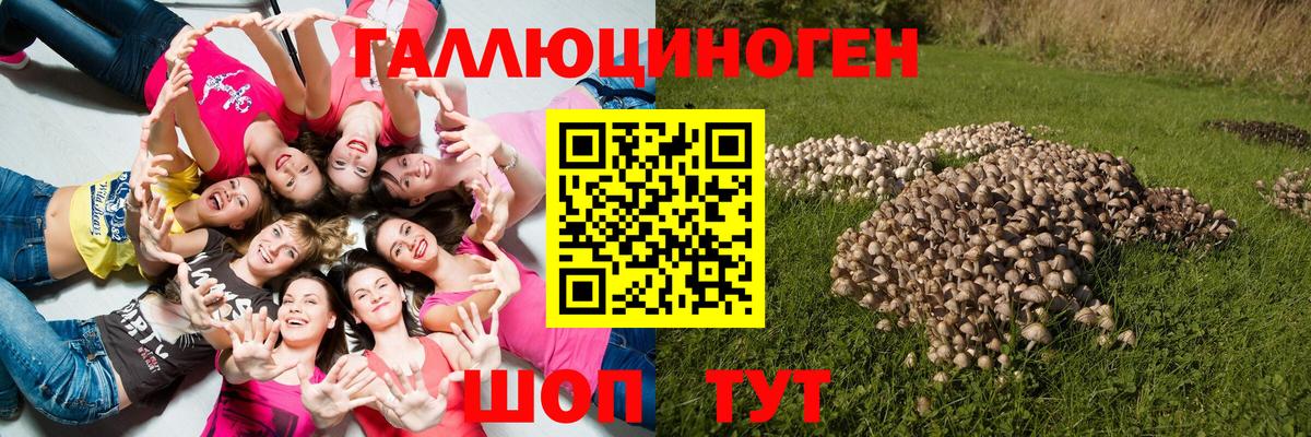 Галлюциногенные грибы мицелий  Вход с VPN  Конаково 